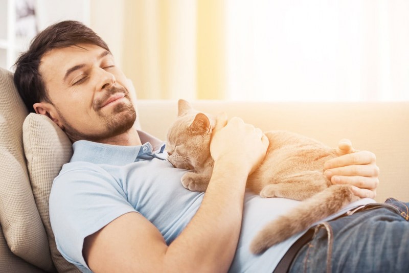 Парень на диване с котом