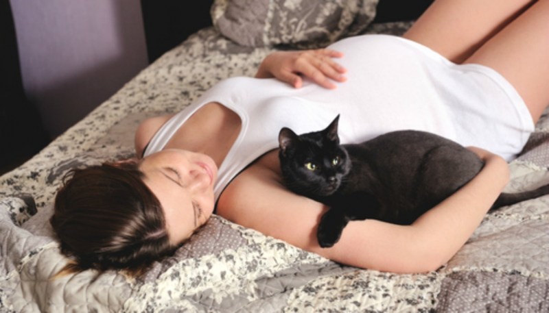 Кот лежит на девушке
