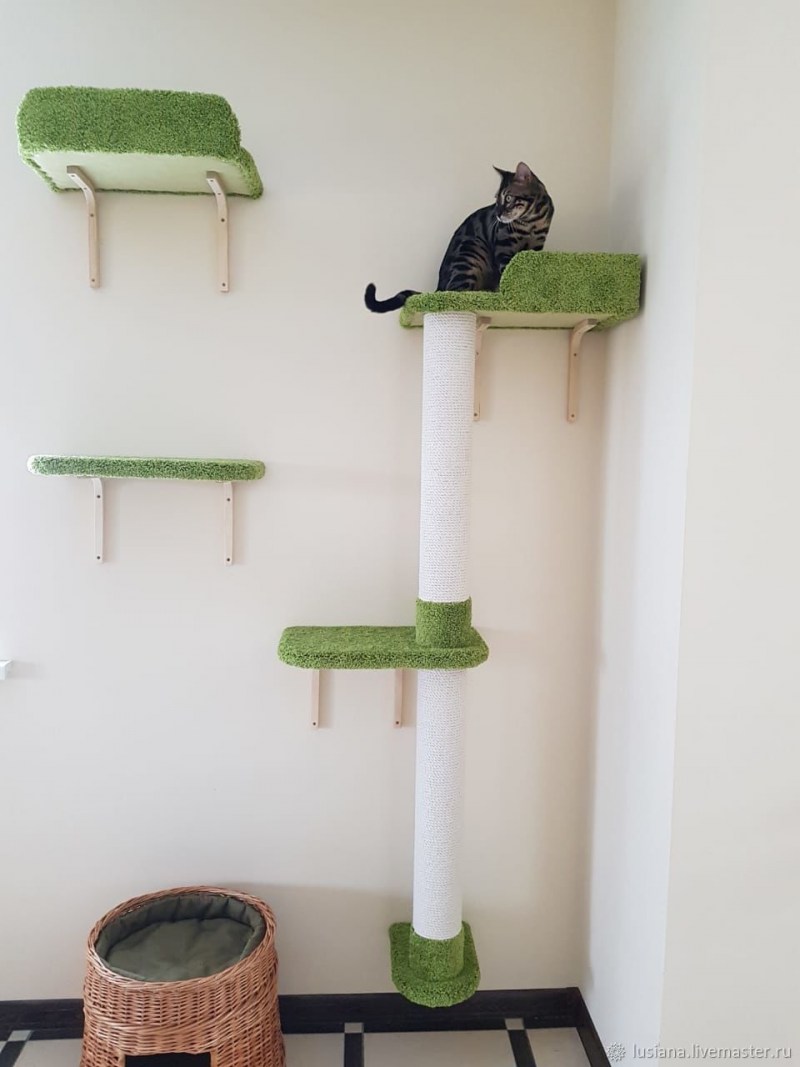 Кошачий домик лазалка
