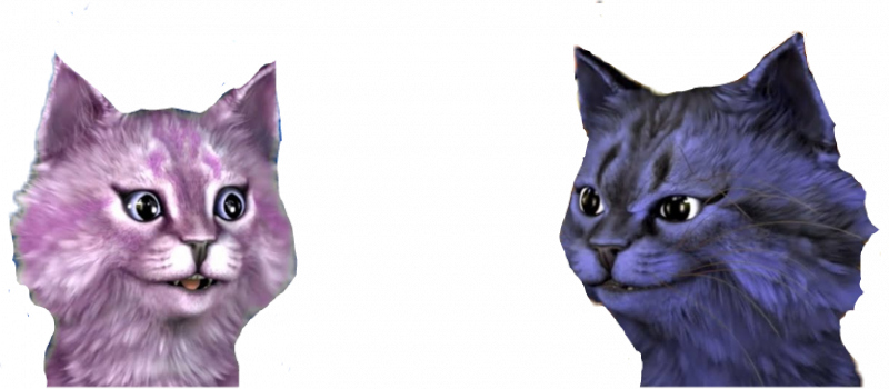 Кошка Лана и Лео