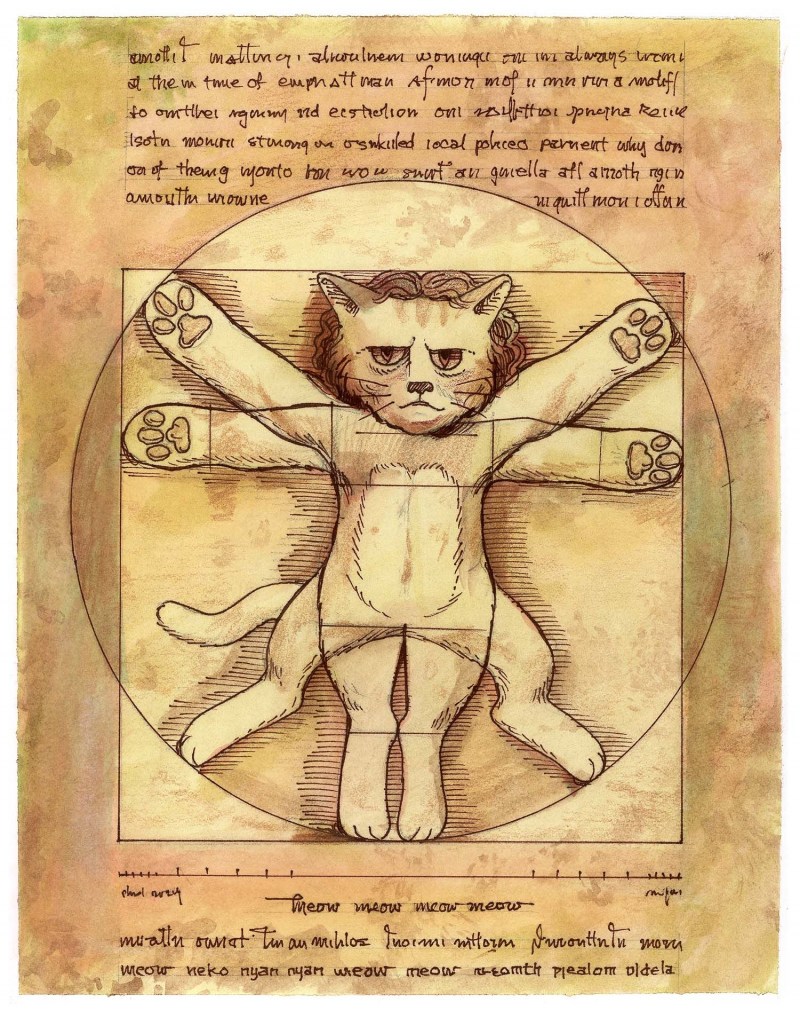 Кошка Лана и Лео