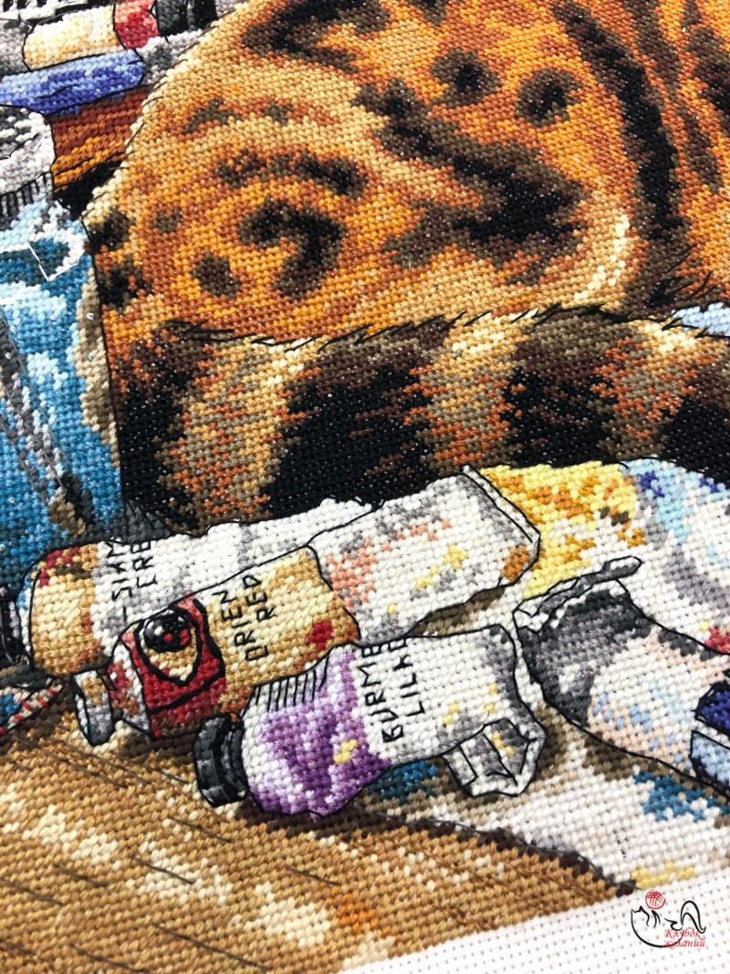 Кошка Лана и Лео