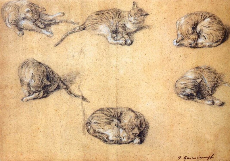 Кошка Лана и кот Леонард Амино
