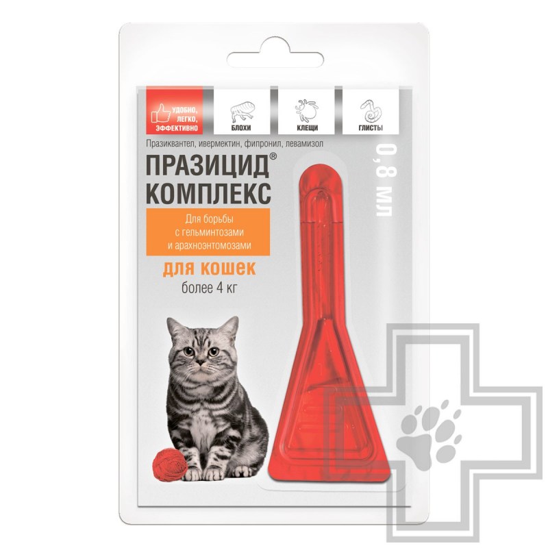 Успокоительный котик