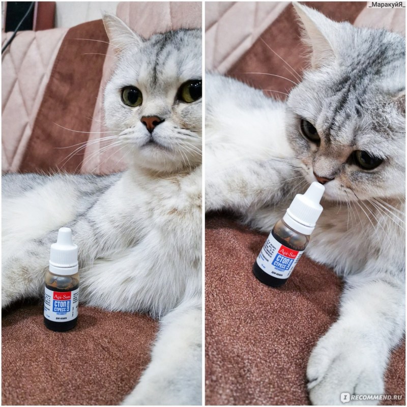 Средство от кошек для мебели
