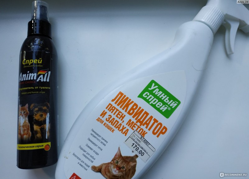 Cat extreme Stain& Odor Remover