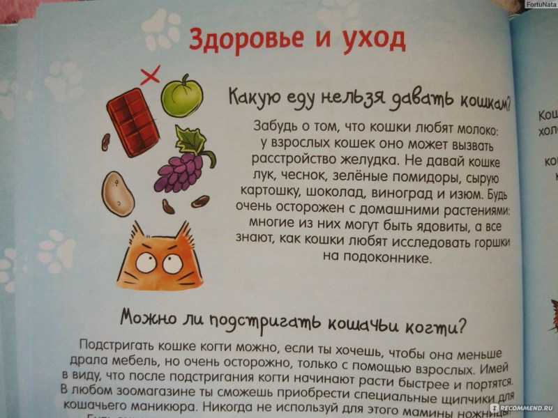 Почему кот мурлычет и ещё 100 ответов на детские «почему» про кошек от POOKIECAT