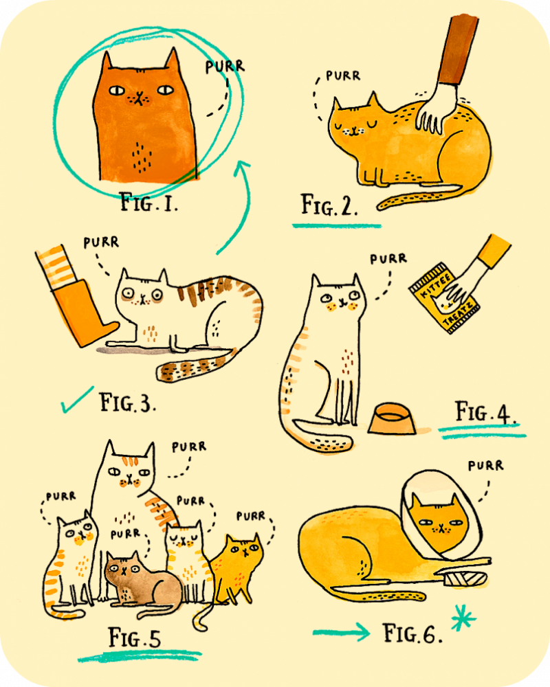 Механизм мурчания кошек