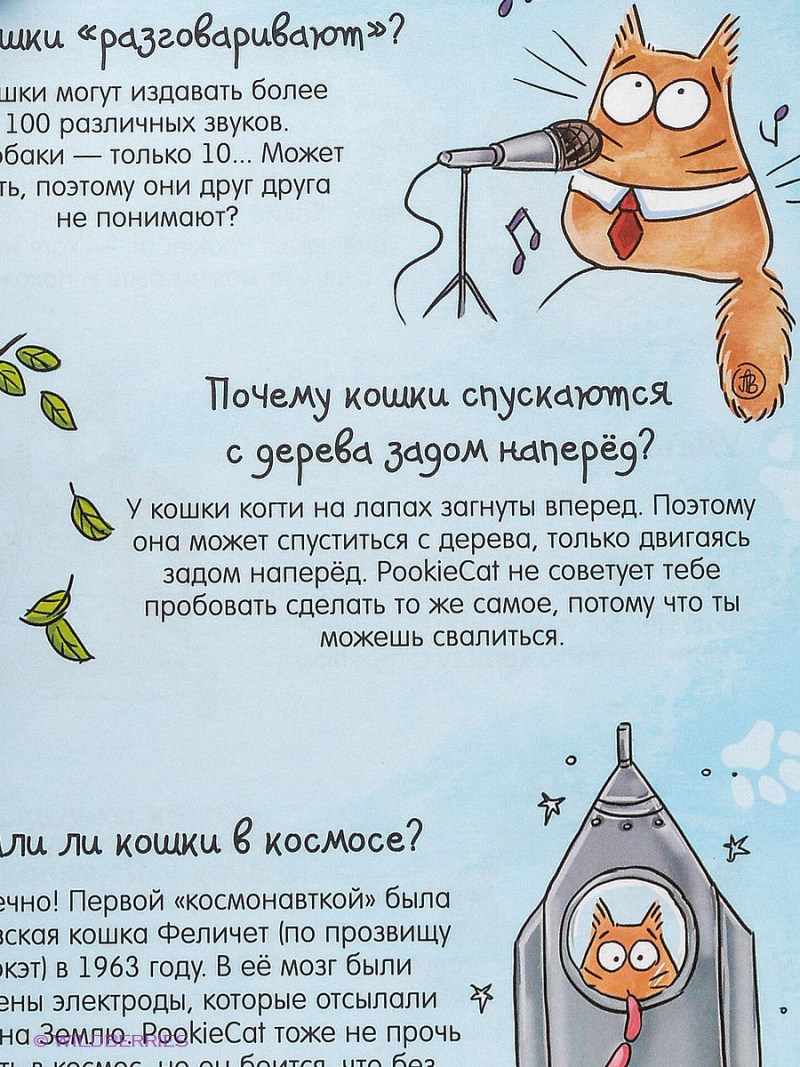 Книга про кота Питера