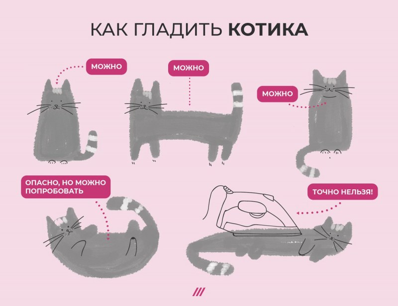Как гладить кошку