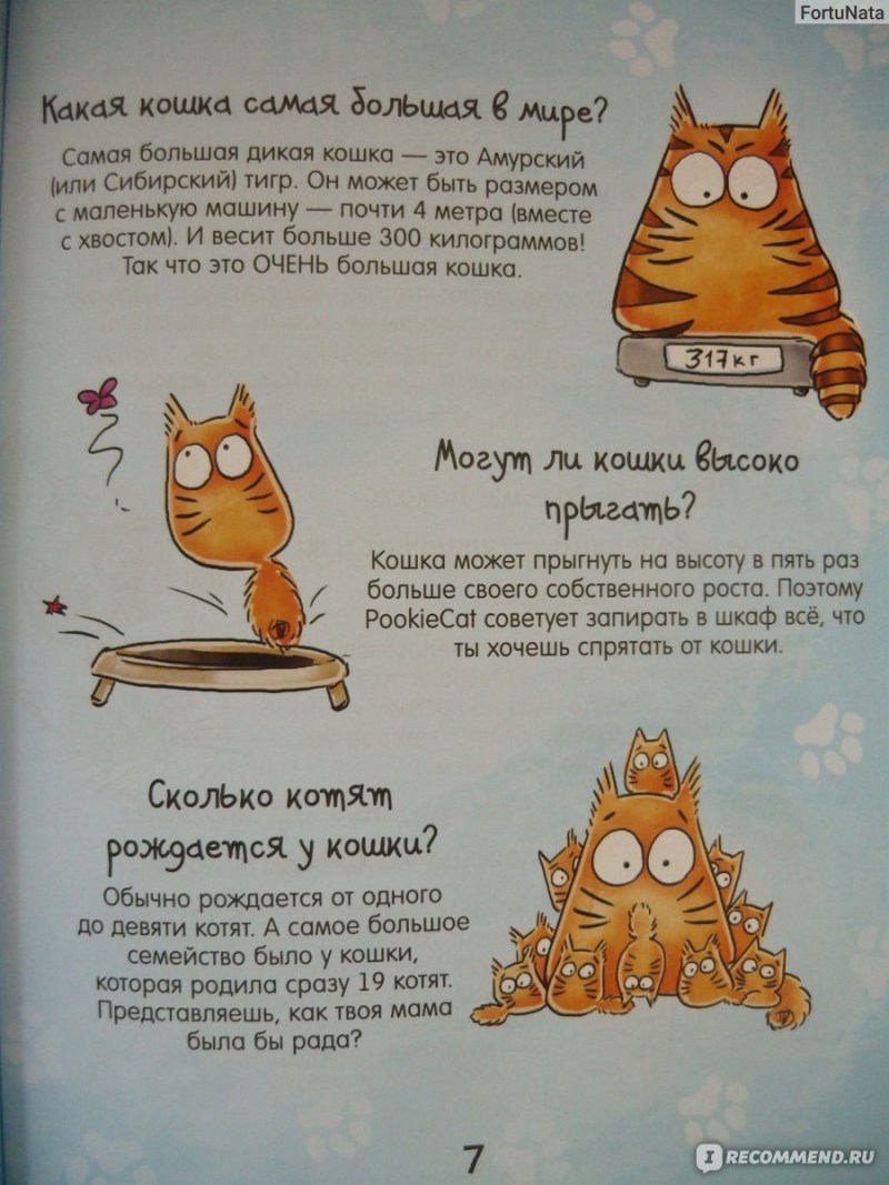 Почему кошки мурчат