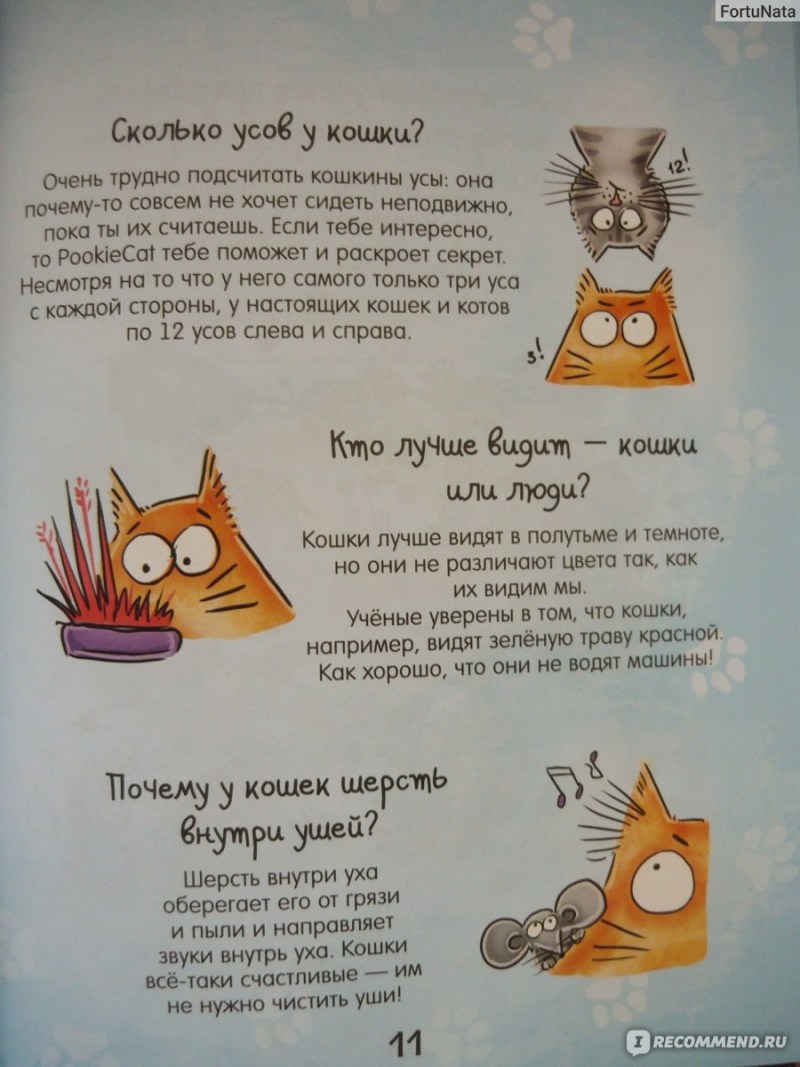 Почему кот мурлыкает