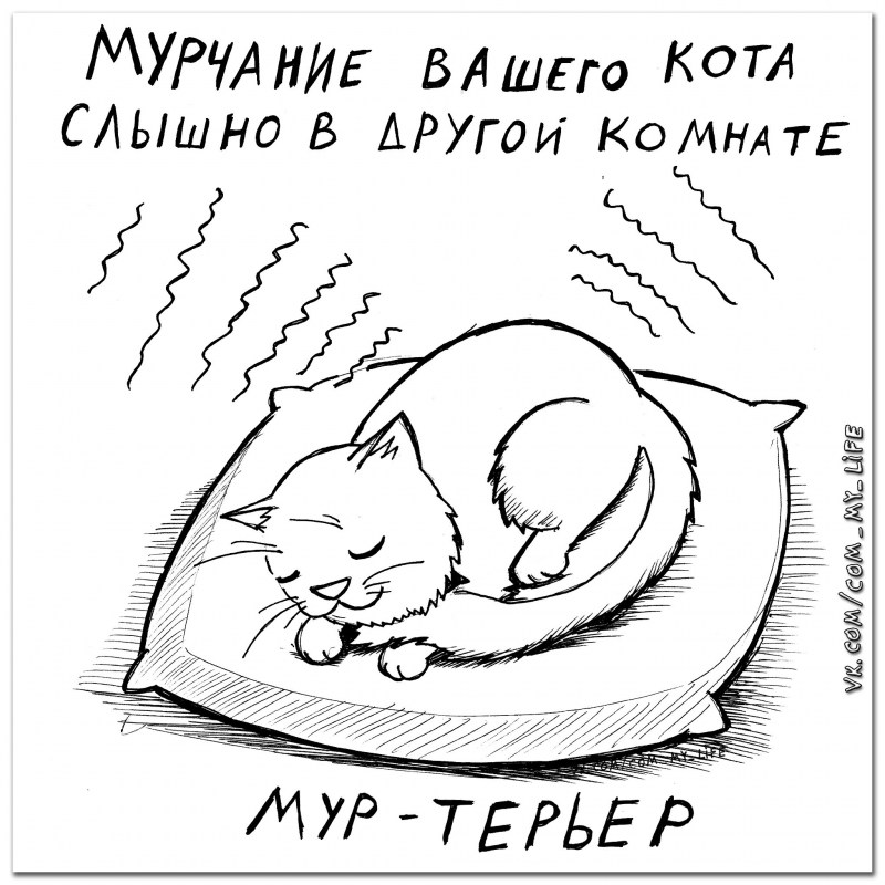 Карикатуры котики