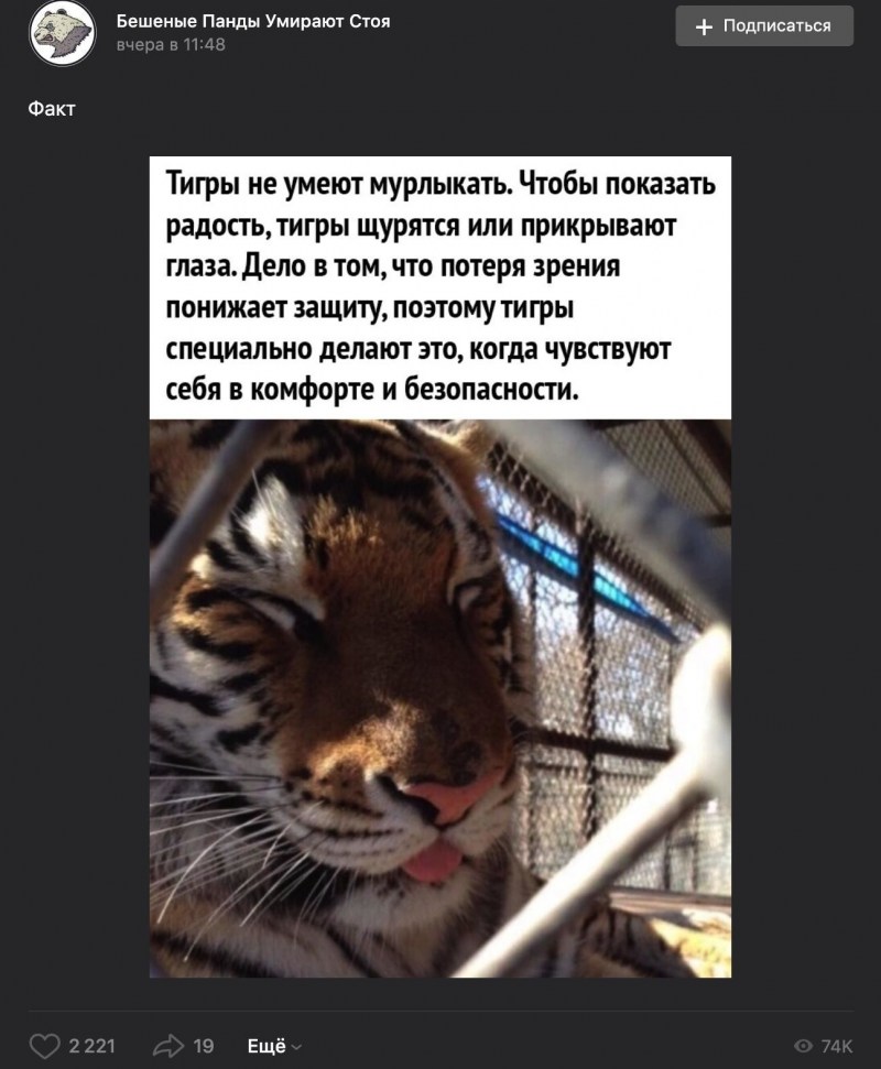Как мурлыкать