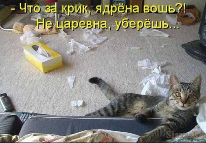 Приколы с надписями