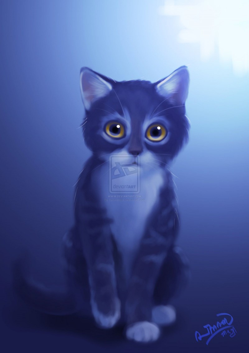Синий котенок