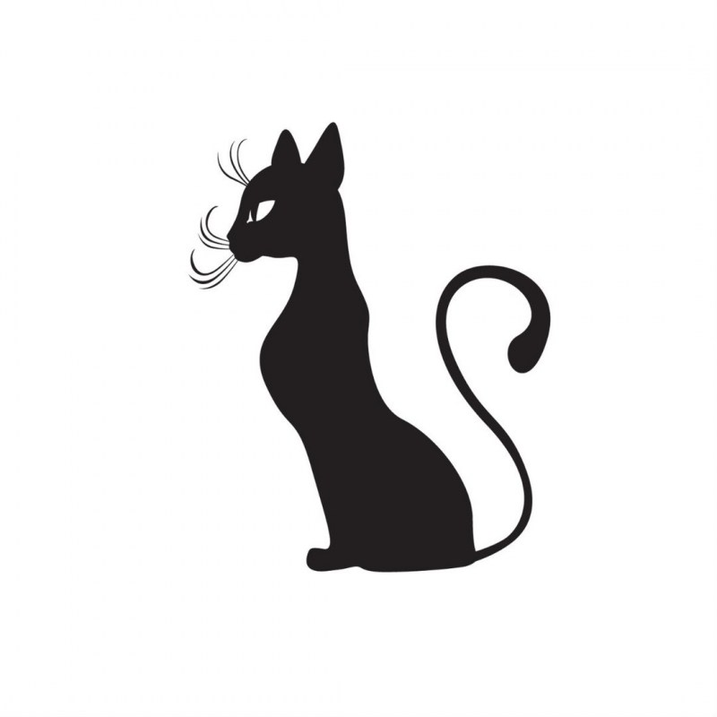 Чёрный кот