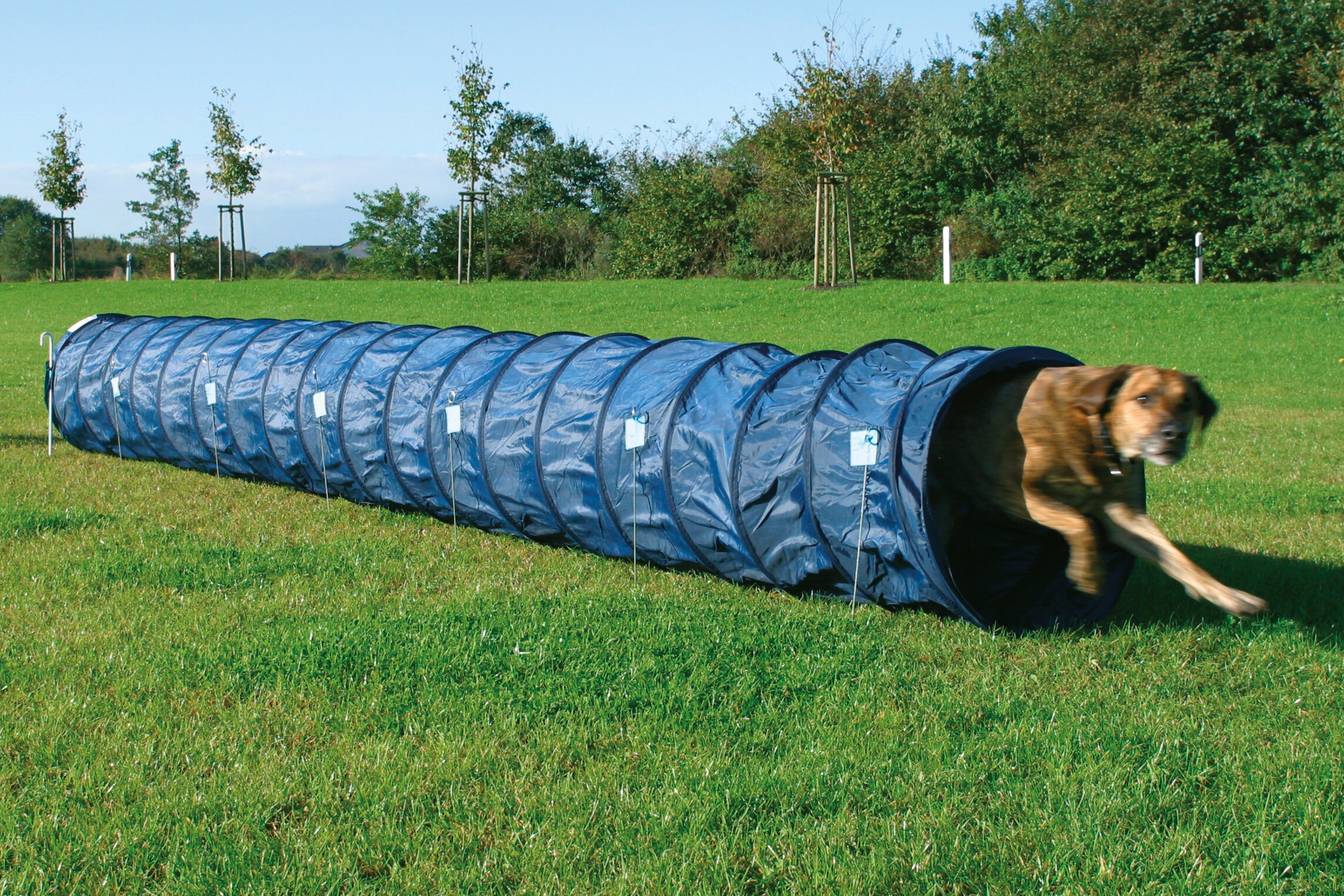 Предметы для дрессировки кошек. Тоннель для собак Trixie Agility Sack tunnel 500х60х60 см. Аджилити Trixie. Туннель для собак аджилити. Тоннель для аджилити.