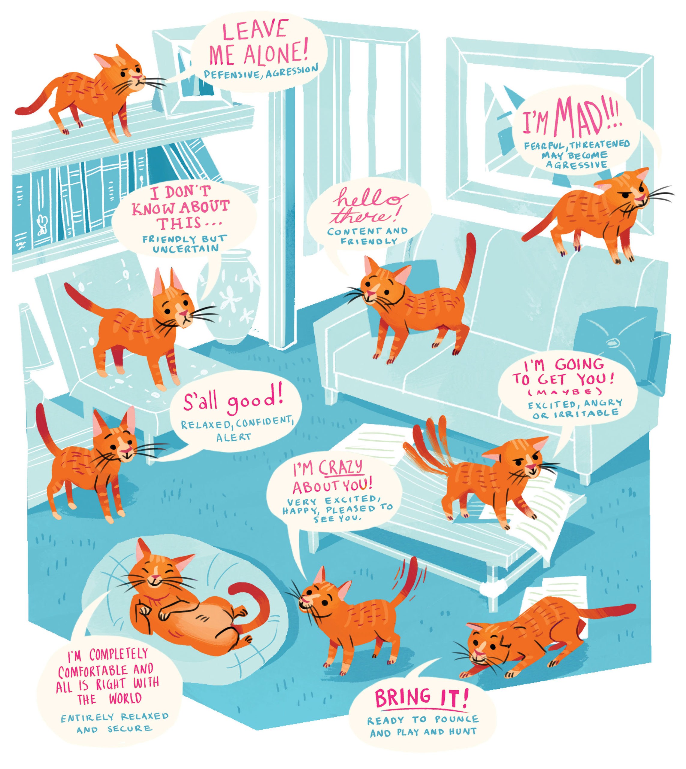 These your cats. Кошачий язык учить. Кошачий язык картинки. Язык тела котов.