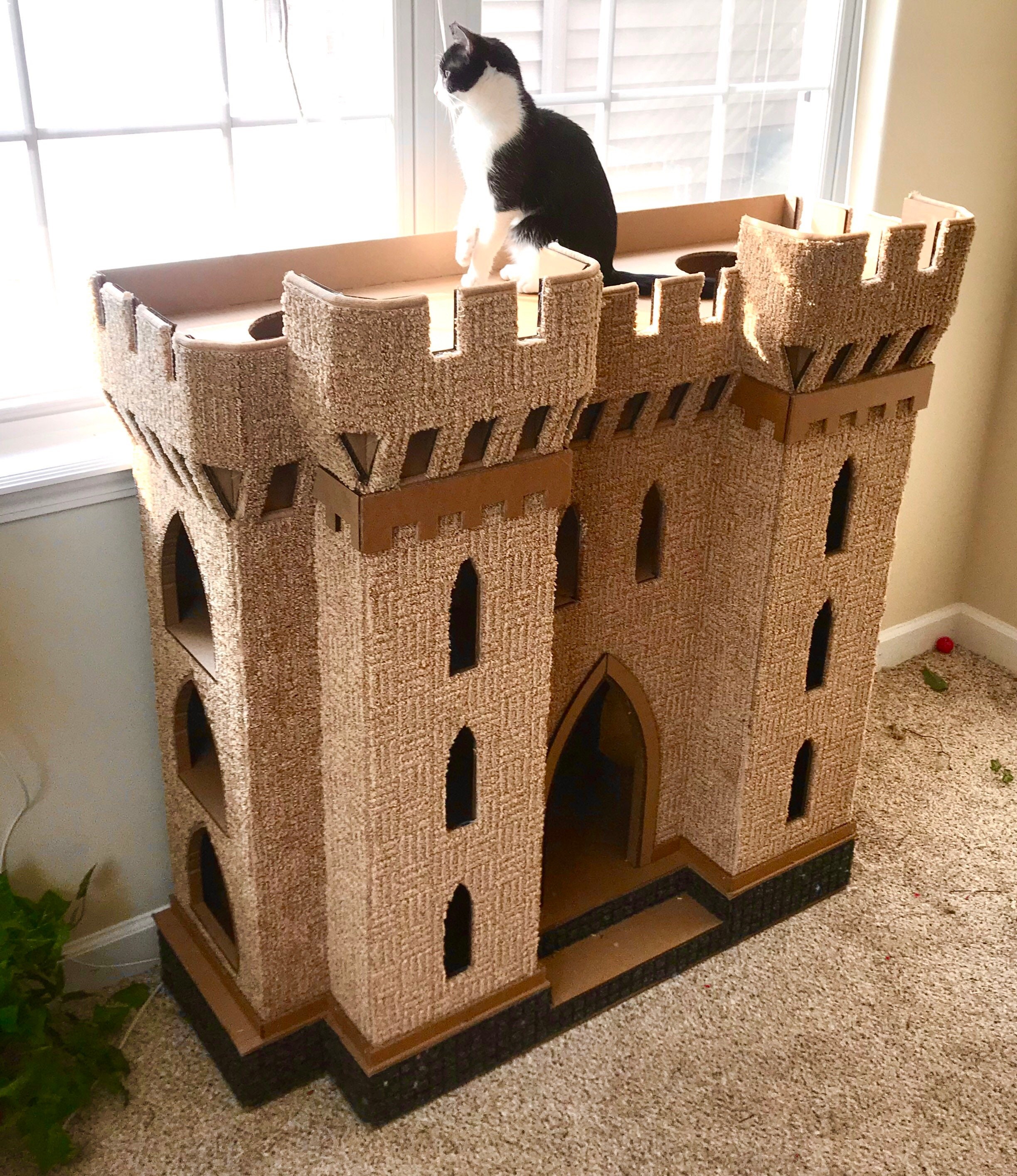 Замок для кошки
