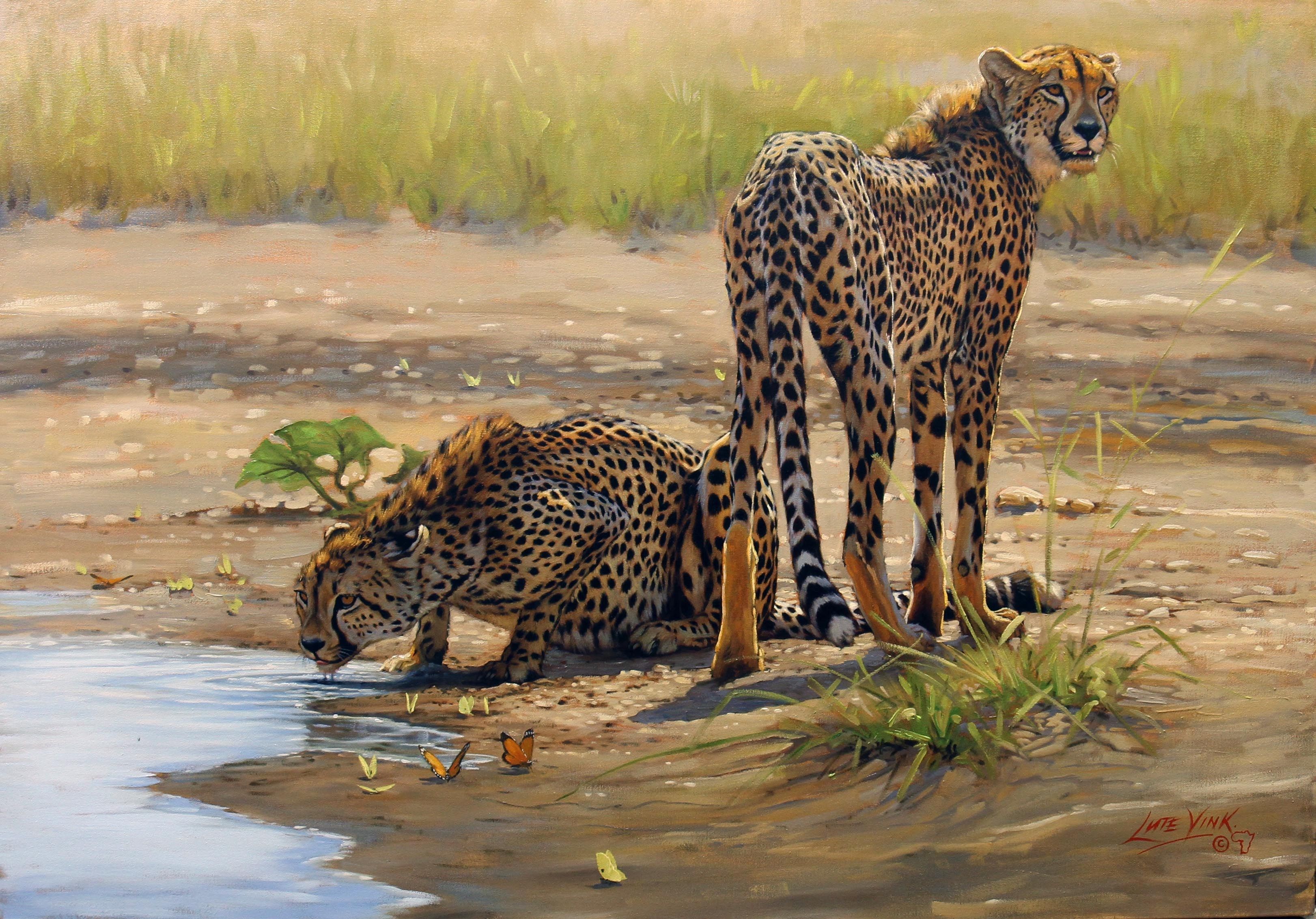Работы с дикими животными. Южноафриканский гепард. Гепард живопись. Картины с животными. Пейзаж с животными.
