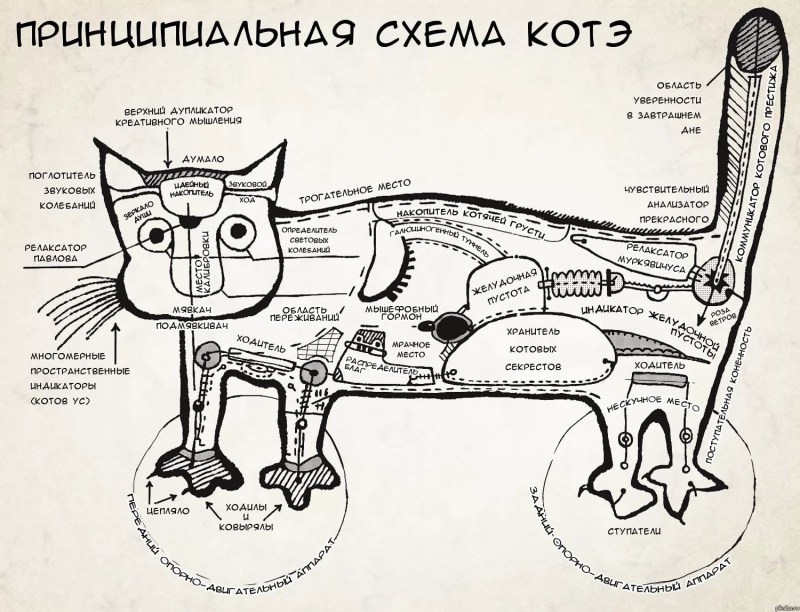 Принципиальная схема кота