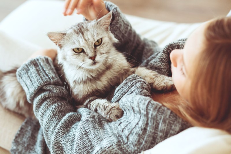 Девушка с котом