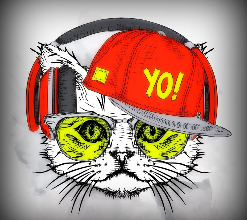 Кот в очках