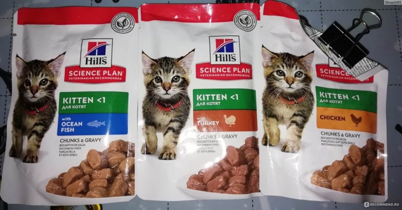 Корма для месячных котят