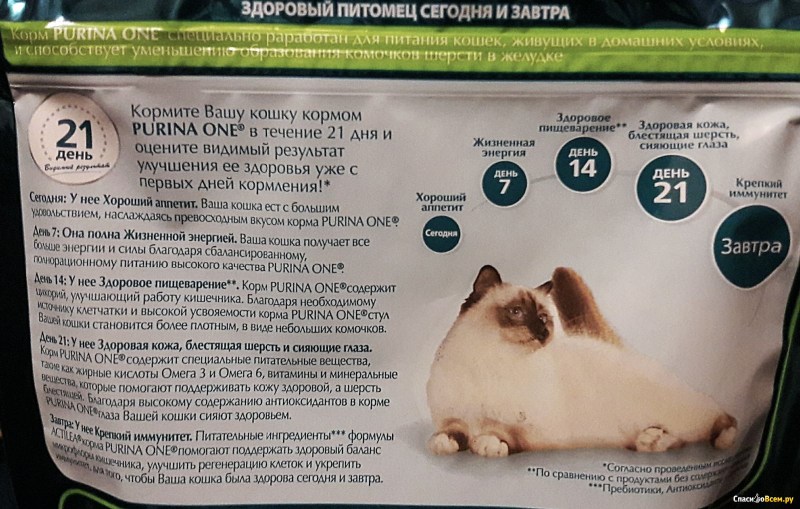 Самый плохой корм для кошек