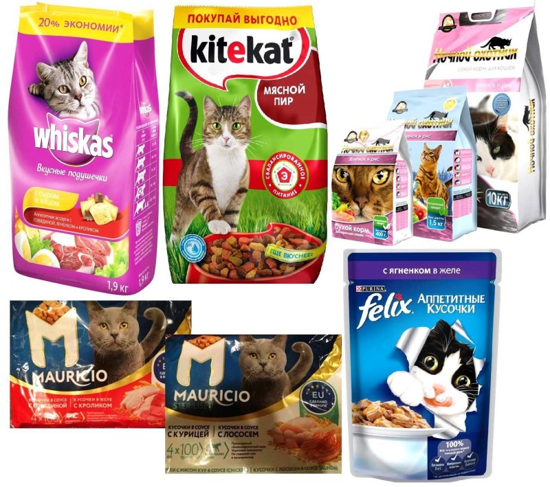 Плохие корма для кошек