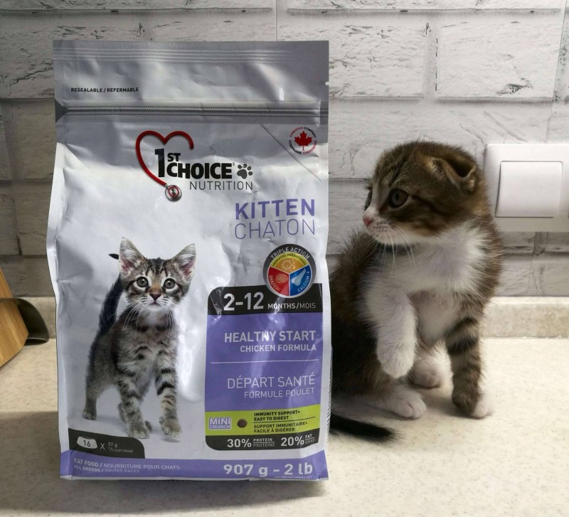 Корм 1st choice для котят