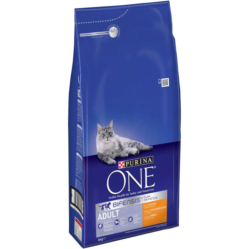 Пурина Кэт one для котят