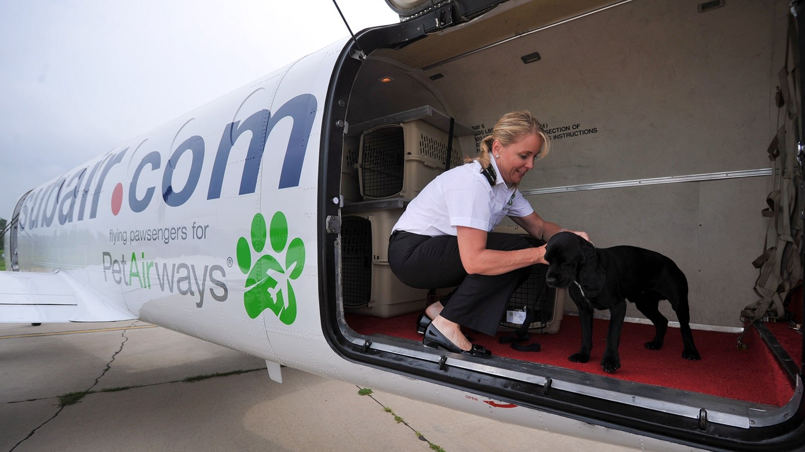 Pet можно ли. Багажный отсек для животных. Отсек для животных в самолете. Перевозка для собак. Багажное отделение в самолете для животных.