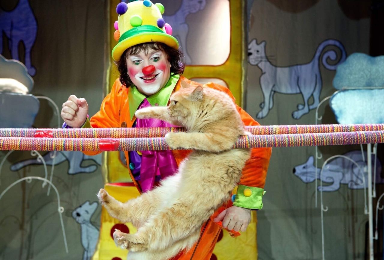 Театр кошек куклачева театры москвы