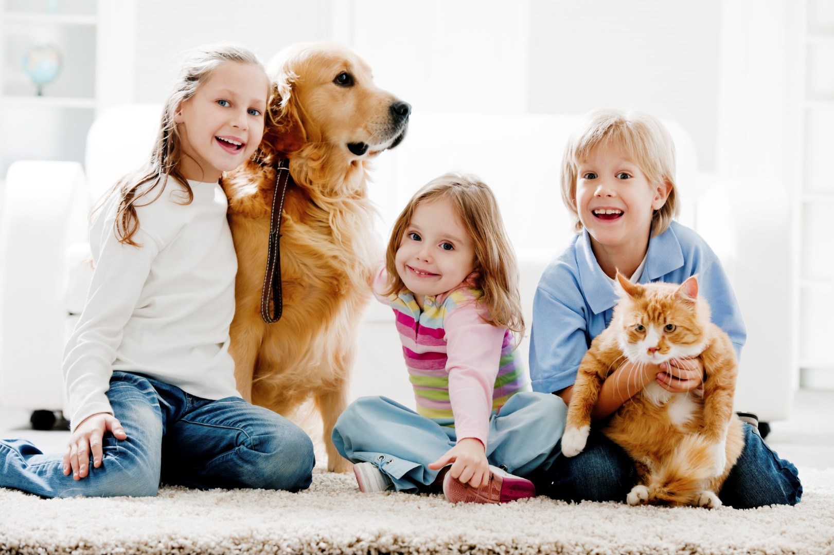 Общение с домашними животными. Для детей. Животные. Собака для детей. Люди с домашними животными. Домашние питомцы для детей.