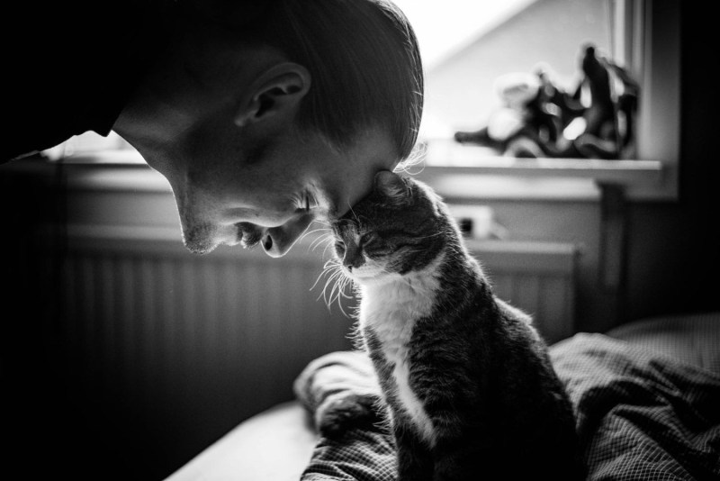 Мужчина с котенком