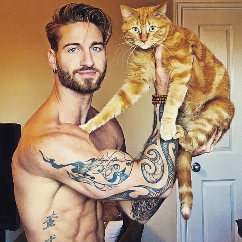 Travis Deslaurier кот