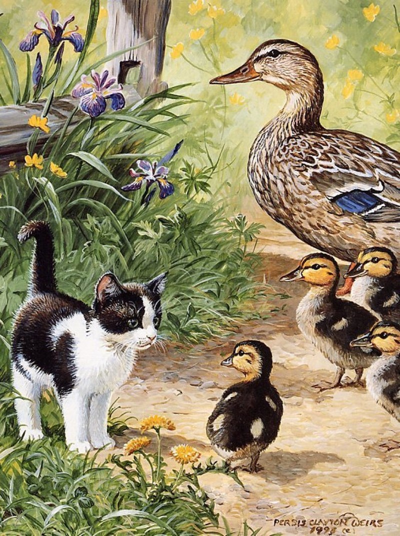Художница Персис Клейтон Вейерс (persis Clayton Weirs).