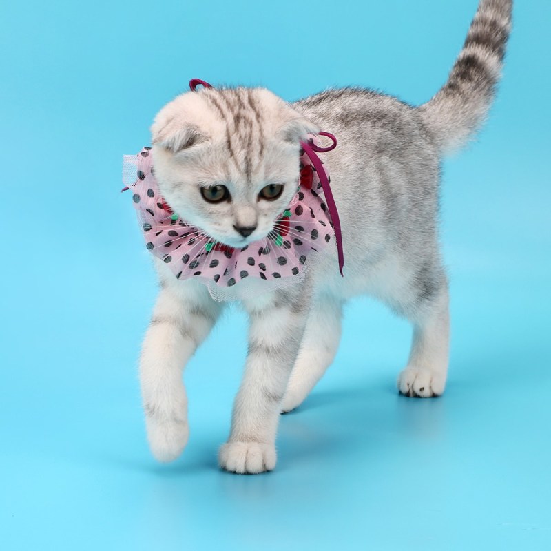 Аксессуары для кошек