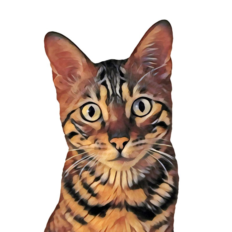 Лекс бенгальский суетолог